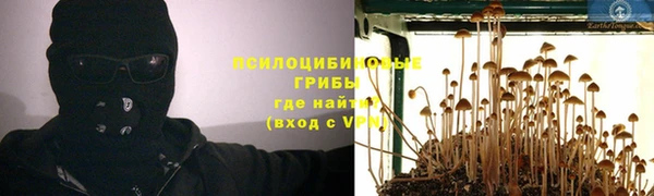 амф Абаза