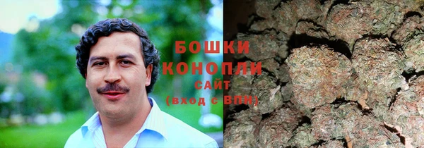 дурь Алзамай