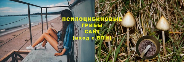 крисы Абинск