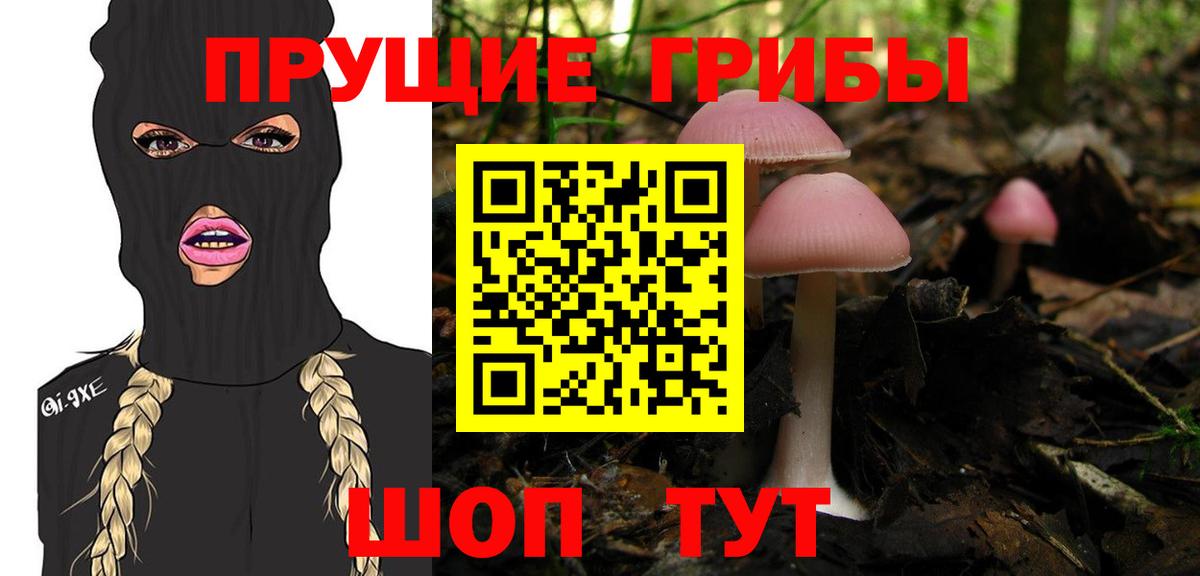 Уварово  Псилоцибиновые грибы Psilocybe  Вход с VPN  Галлюциногенные грибы Psilocybine cubensis 